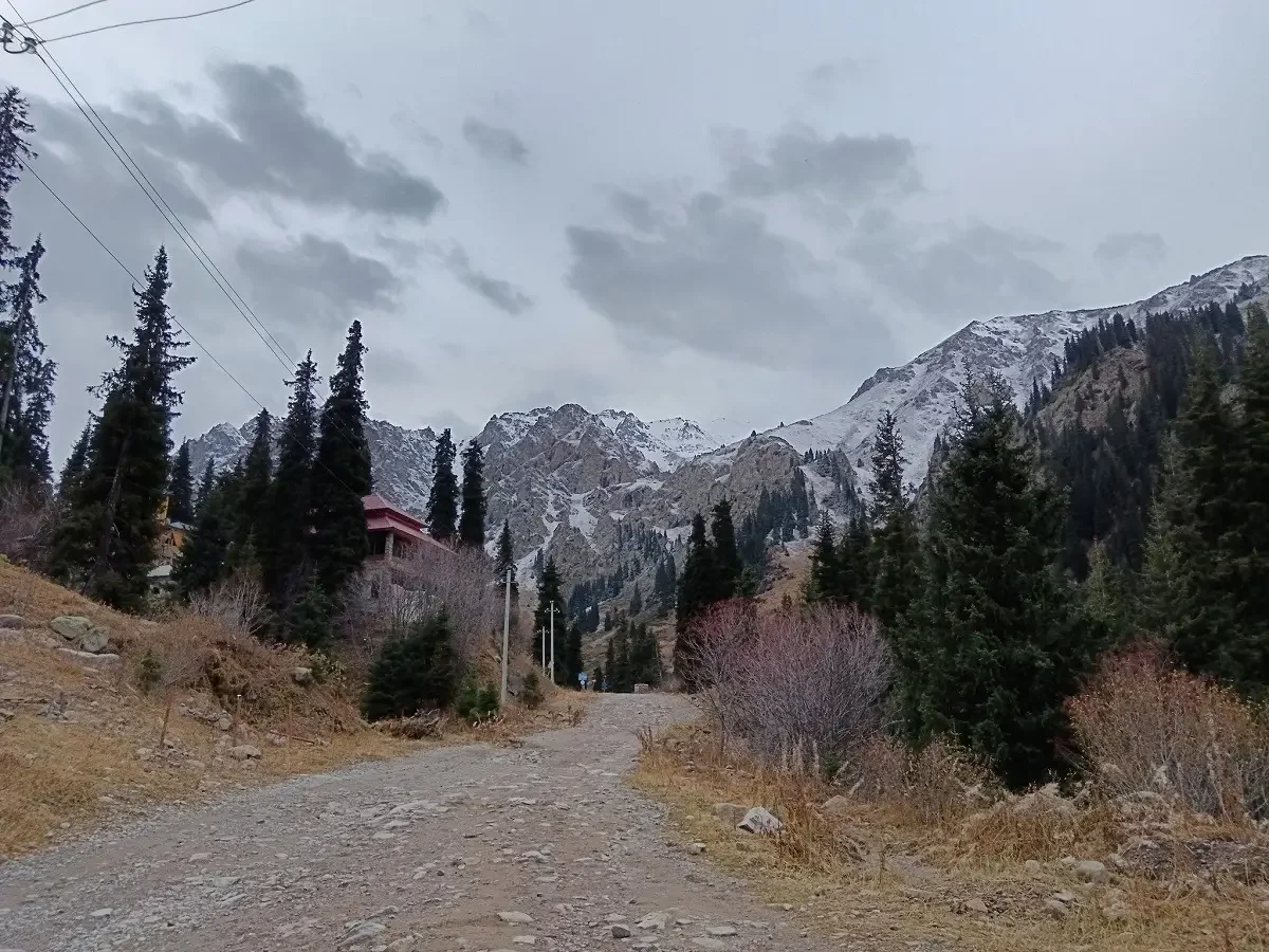 Фото: Victor Glutsenko