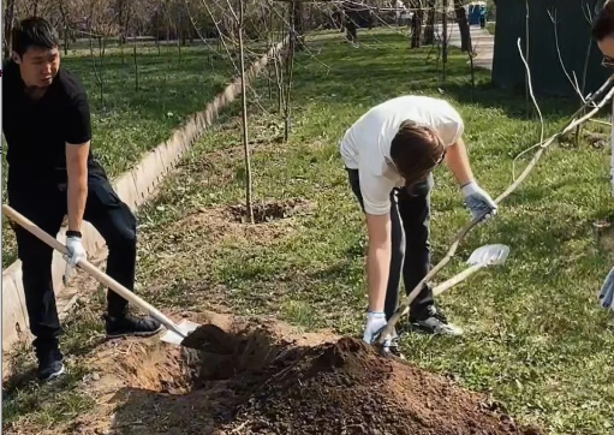 Кадр из видео