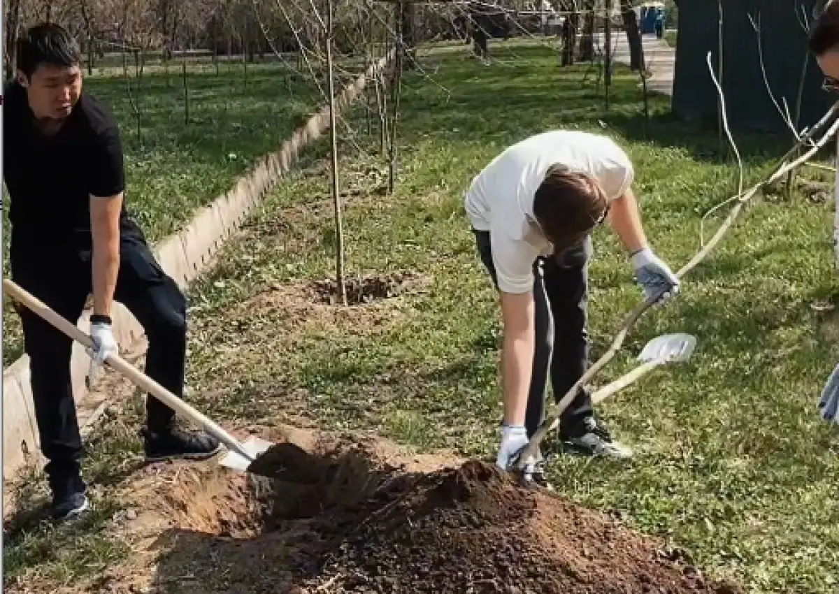 Кадр из видео