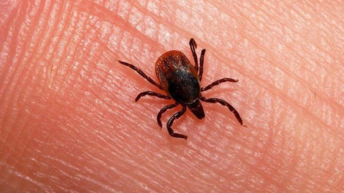 пресс-служба акима Алматы