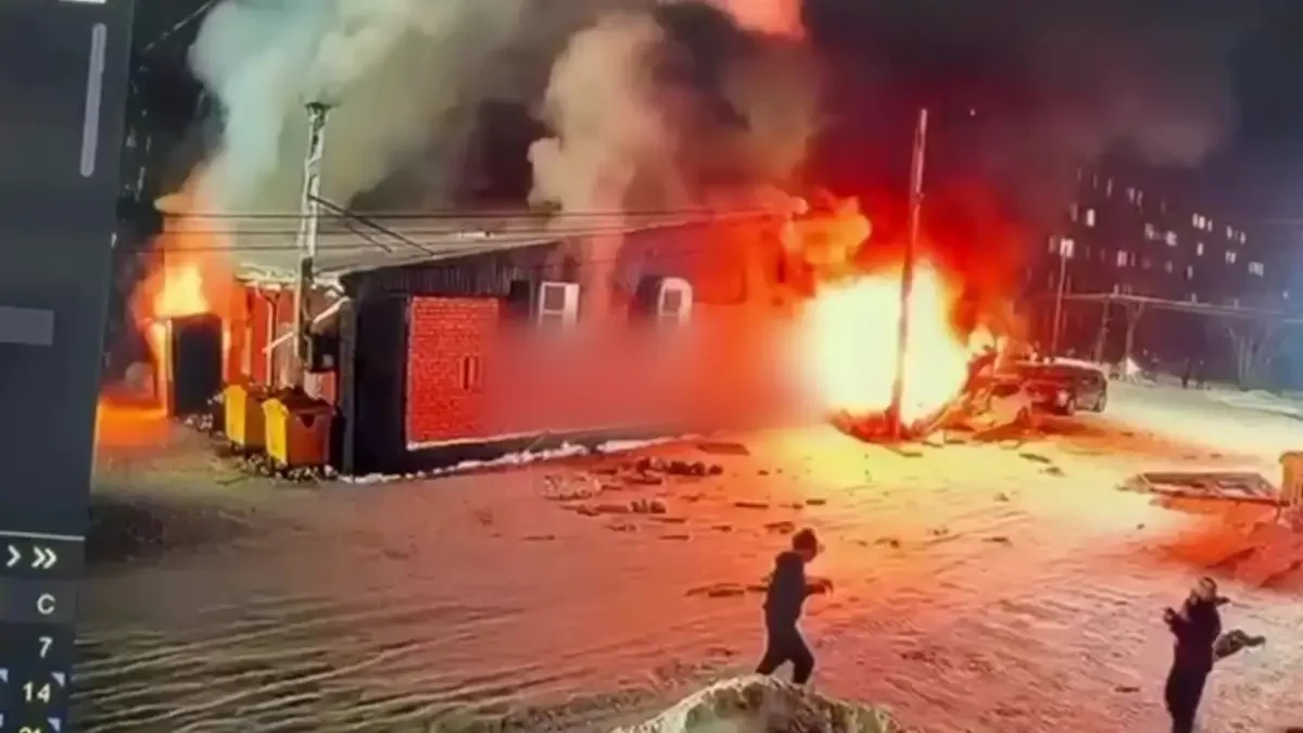 Видеодан кадр