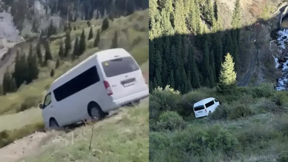 Видеодан кадр