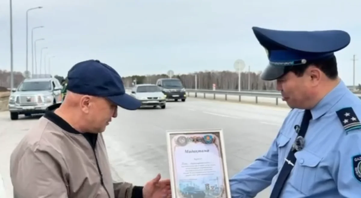 Видеодан кадр