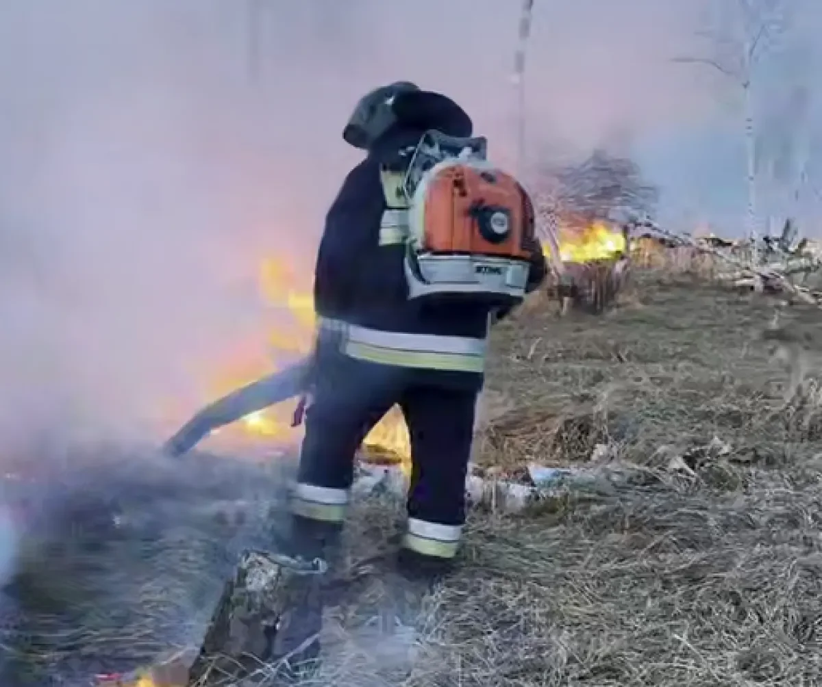 Видеодан кадр