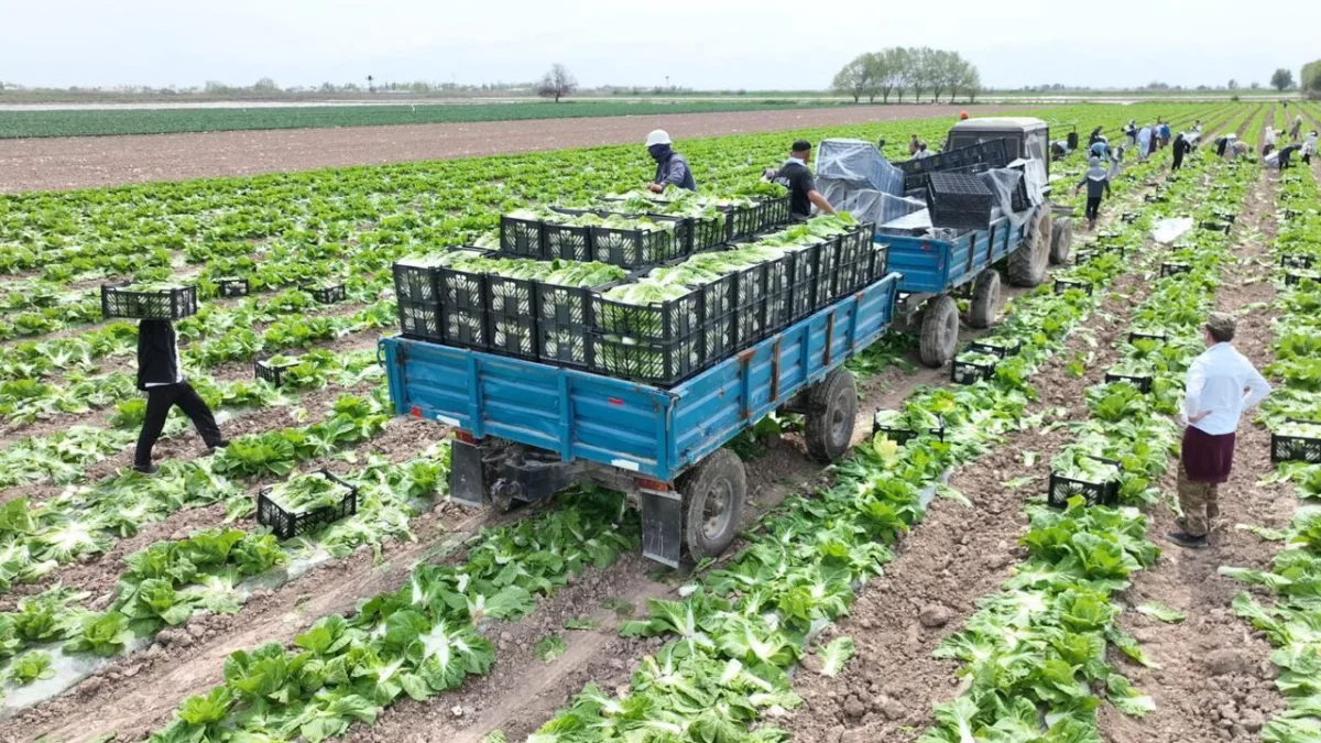 ҚР Ауыл шаруашылығы министрлігінің баспасөз қызметі