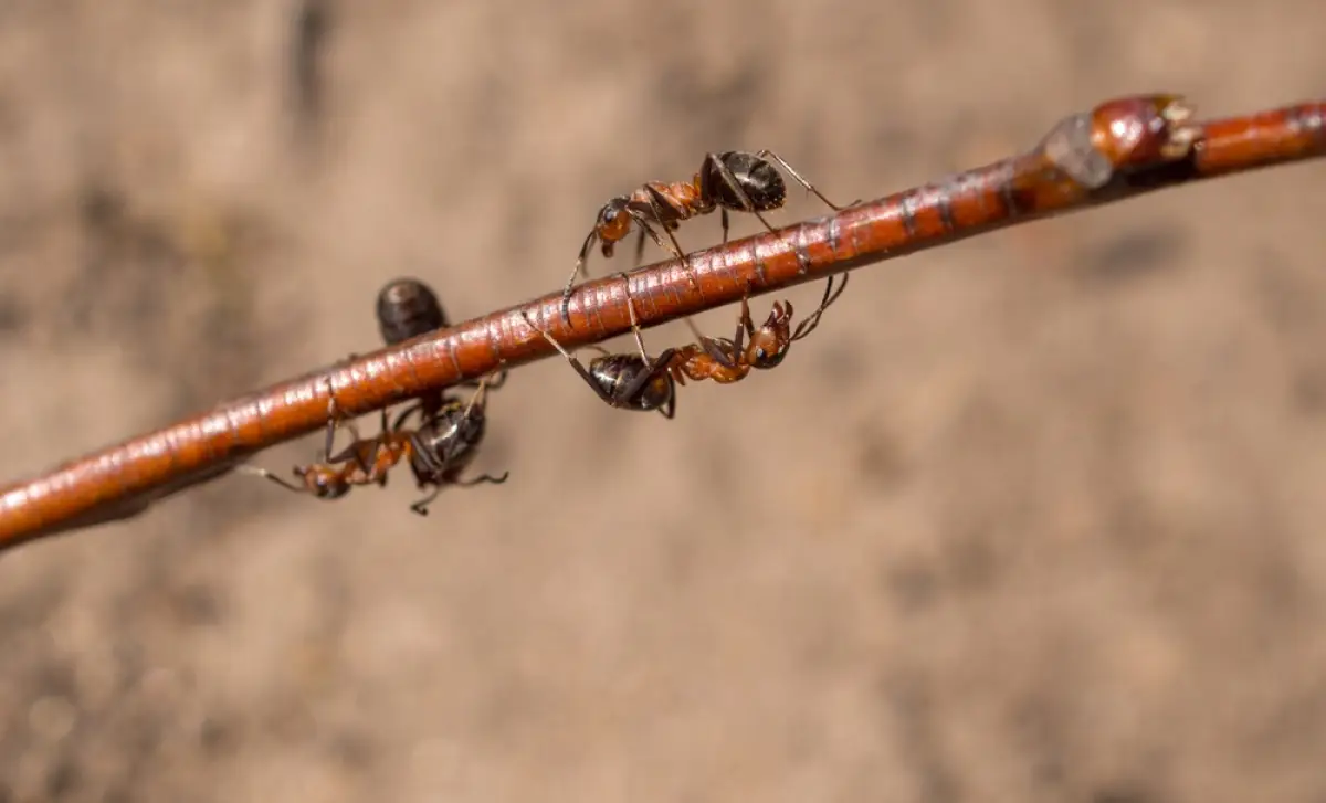 Depositphotos.com