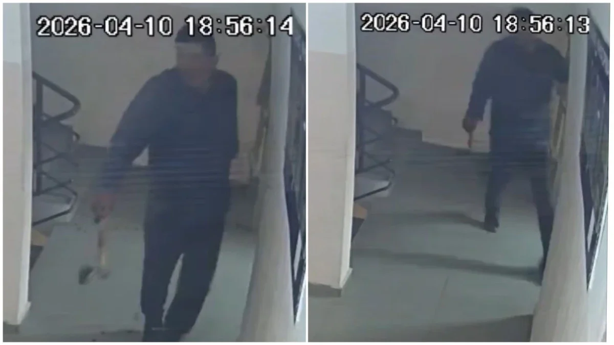 Видеодан кадр