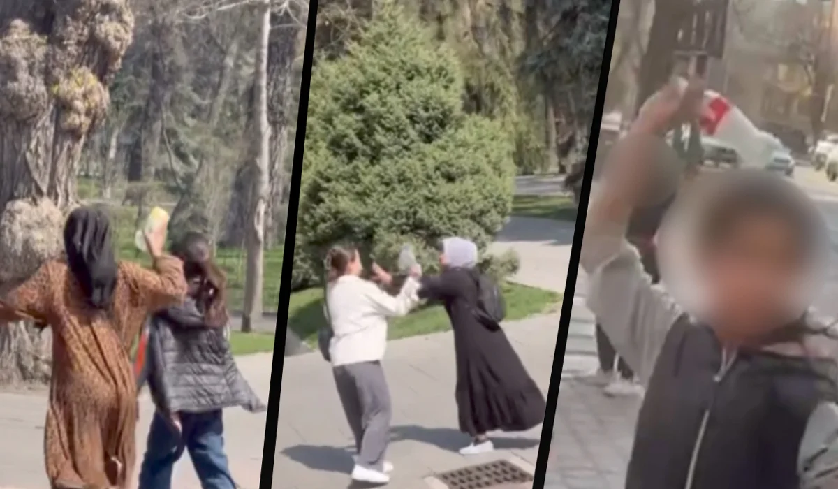 Видеодан кадр