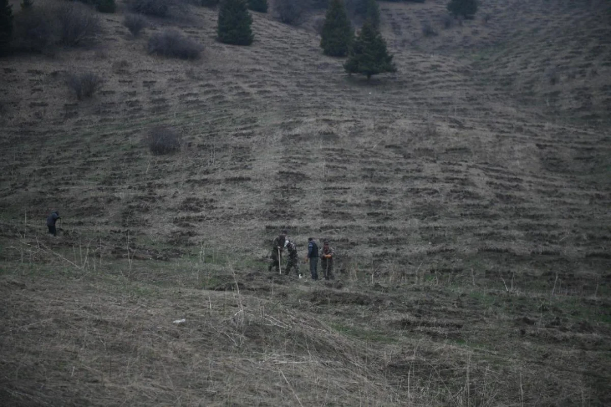 Алматы облысы әкімдігінің баспасөз қызметі