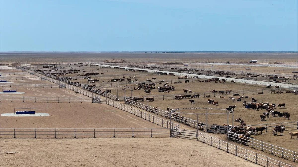Түркістан облысы әкімдігініңбаспасөз қазметі