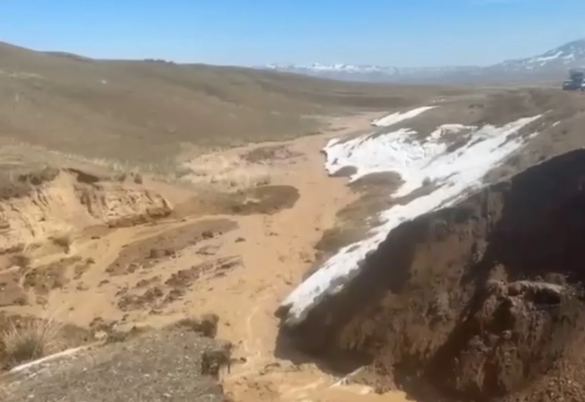 Видеодан кадр