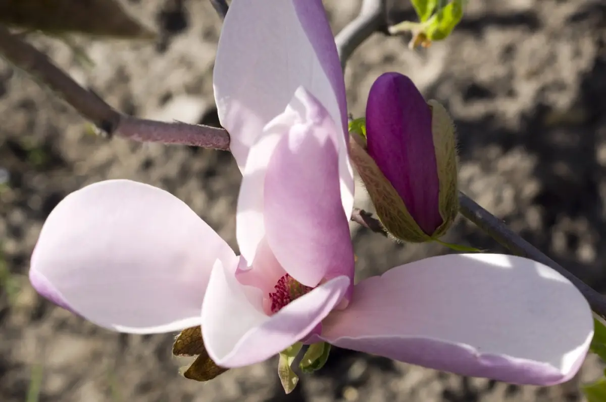 Depositphotos.com