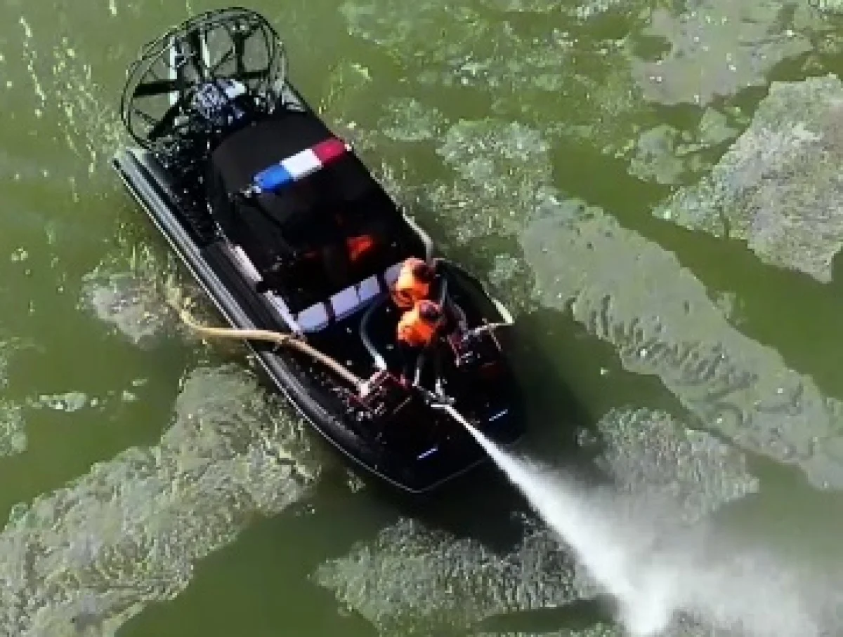 Кадр из видео