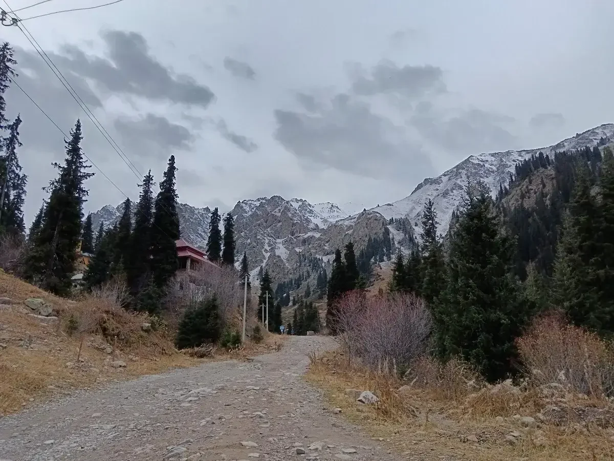 фото Victor Glutsenko