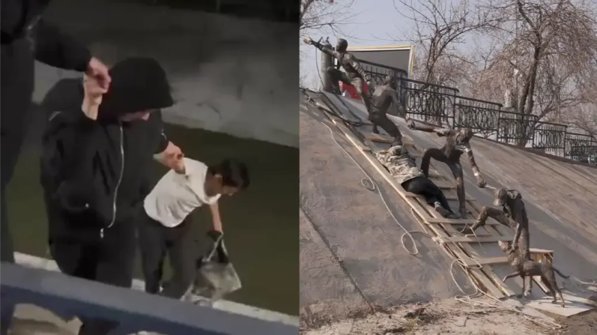 Видеодан кадр