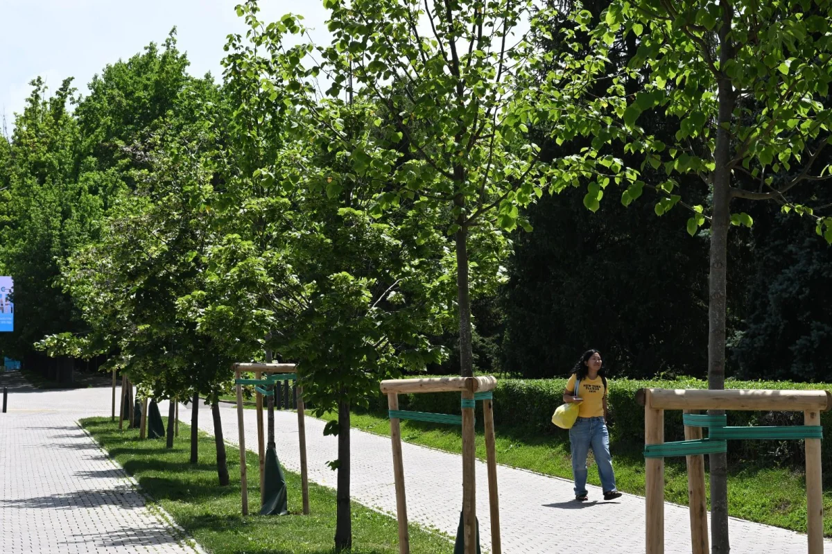 пресс-служба акима Алматы