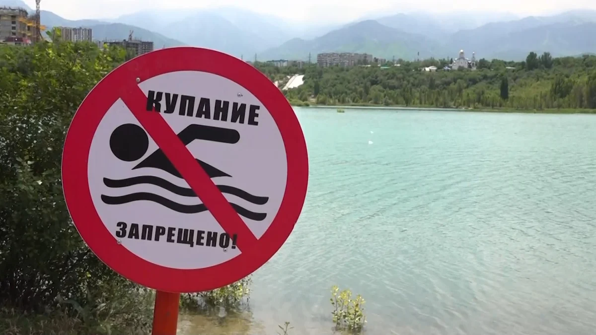 Almaty.tv