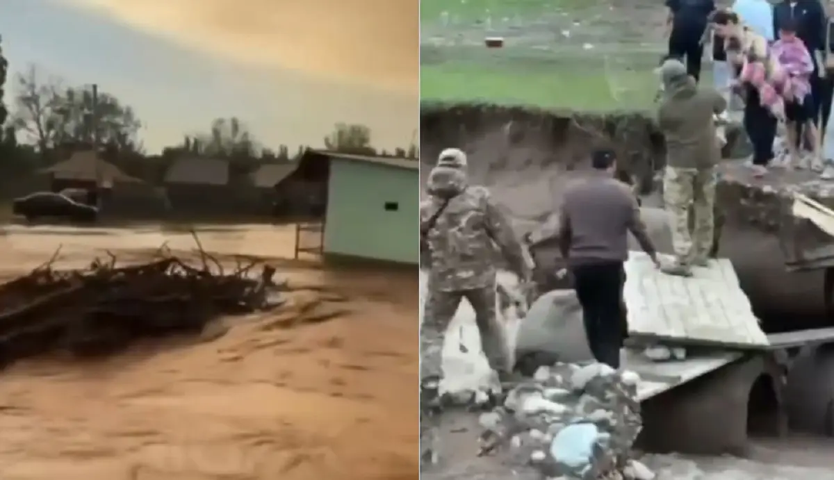 Видеодан кадр