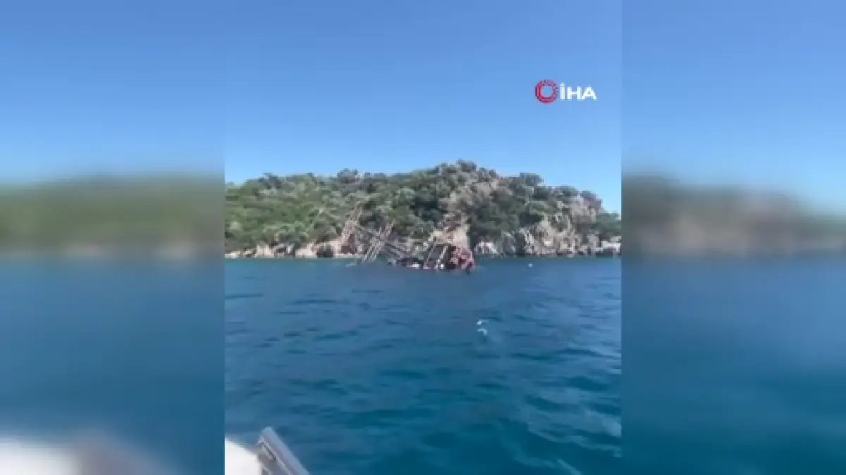 Кадр из видео