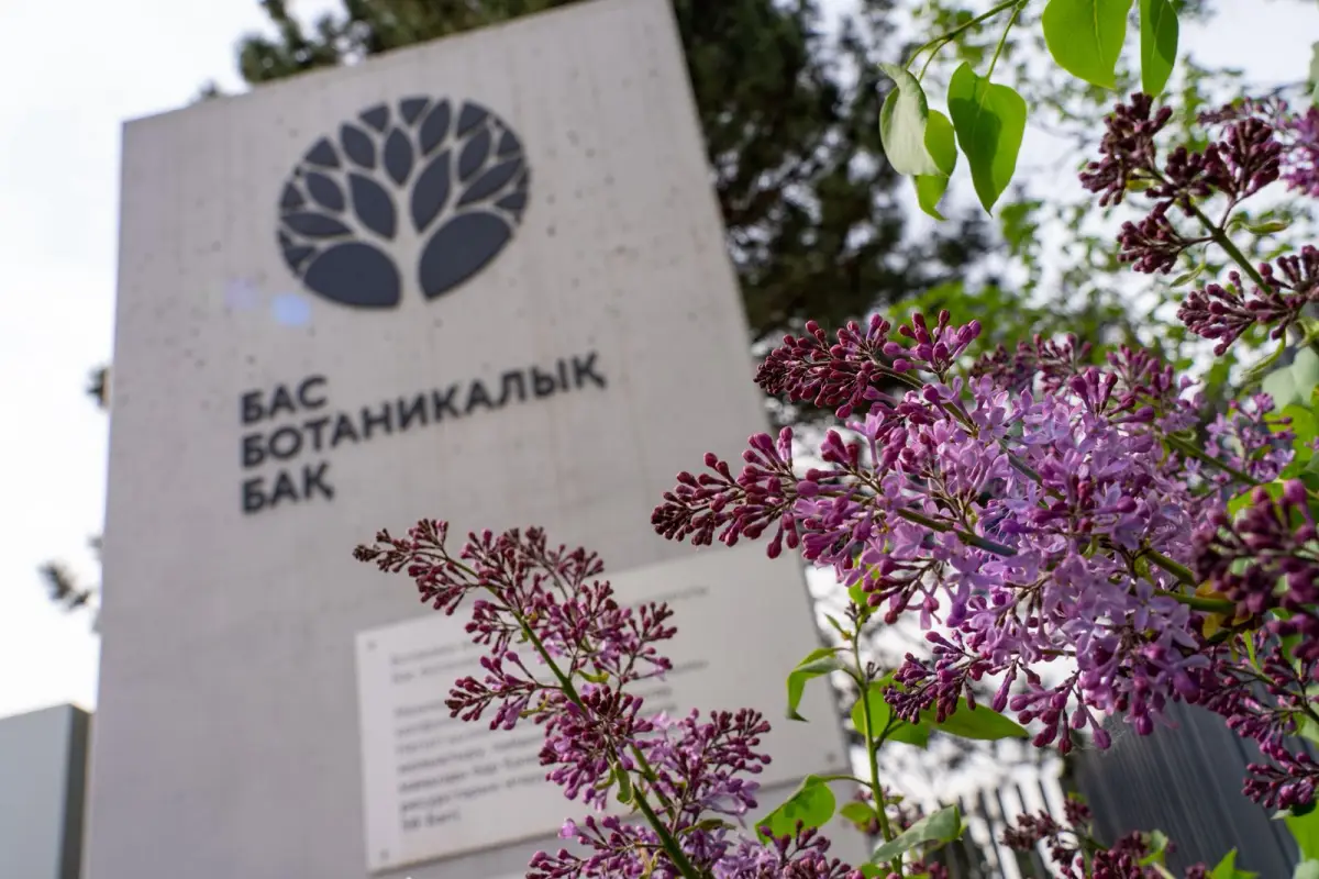 Өңірлік коммуникациялар қызметі