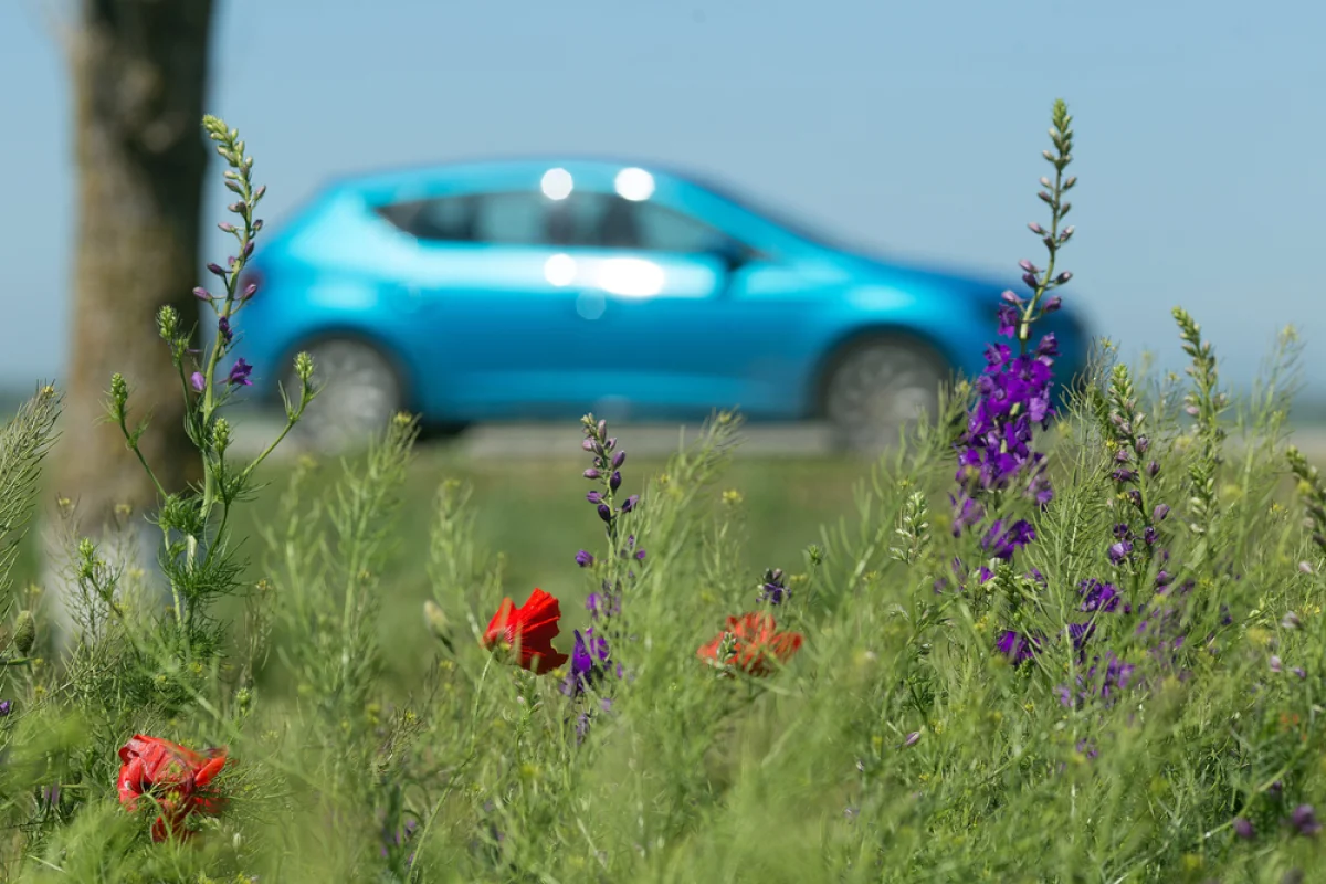 Depositphotos