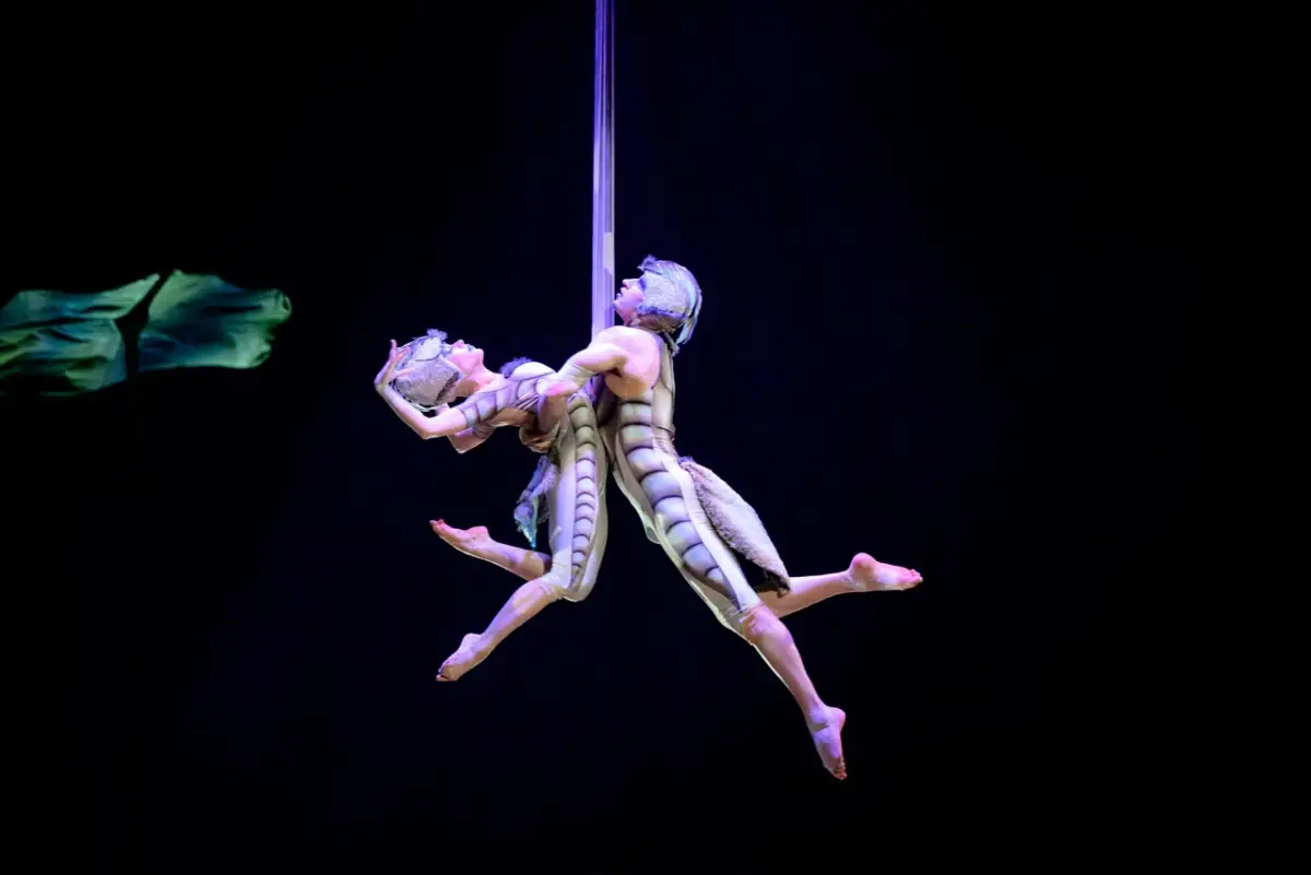 пресс-центр шоу OVO by Cirque Du Soleil