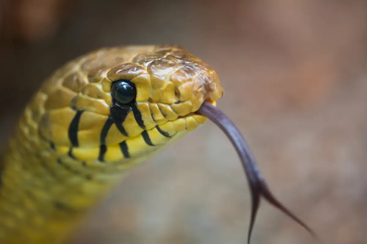 Depositphotos