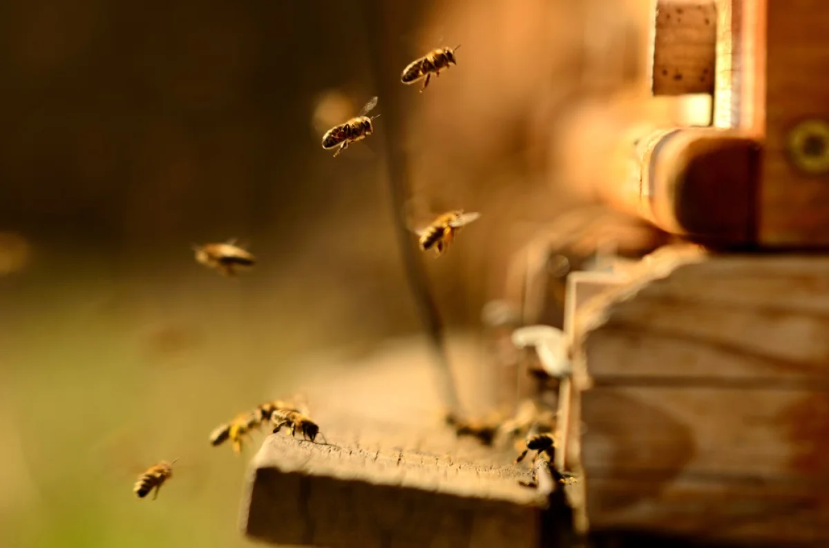 Depositphotos.com