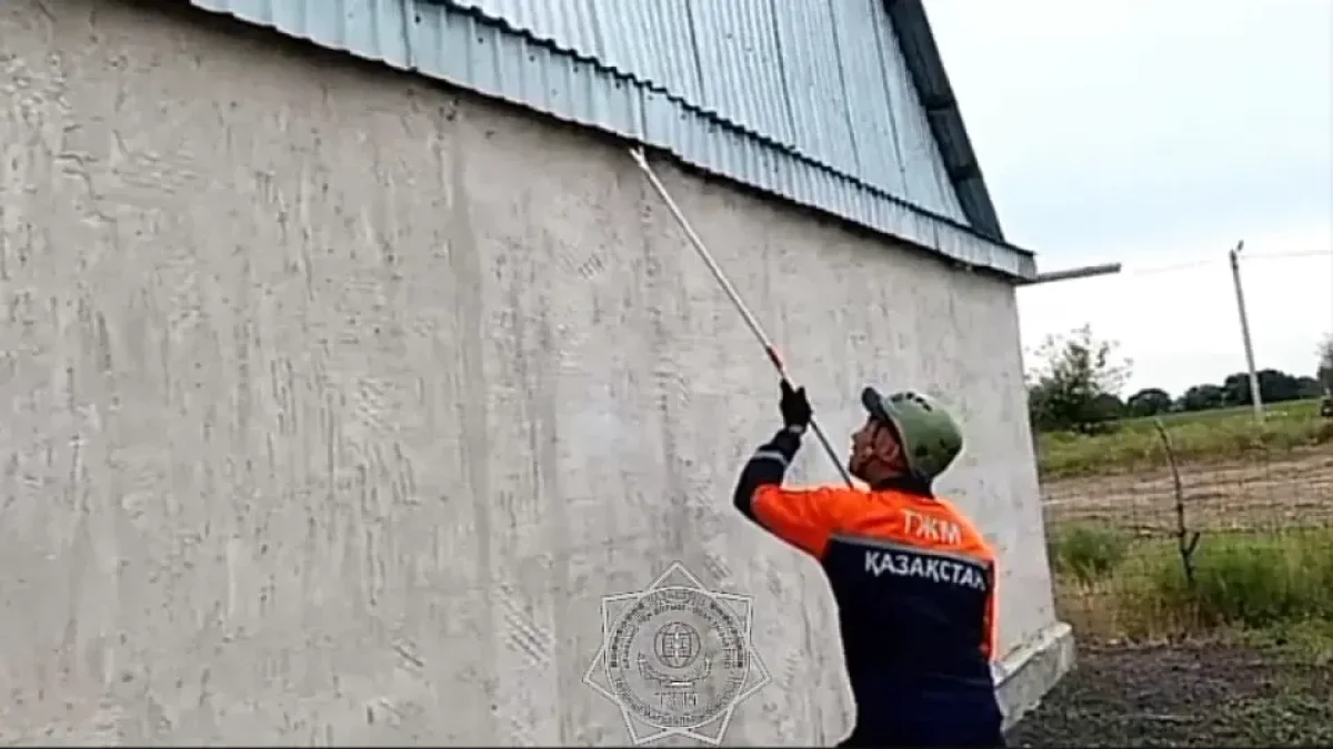 Видеодан кадр