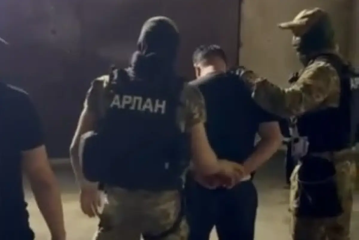 Видеодан кадр
