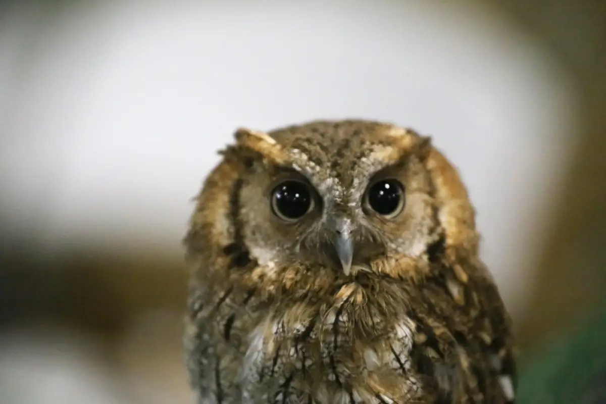 Depositphotos.com