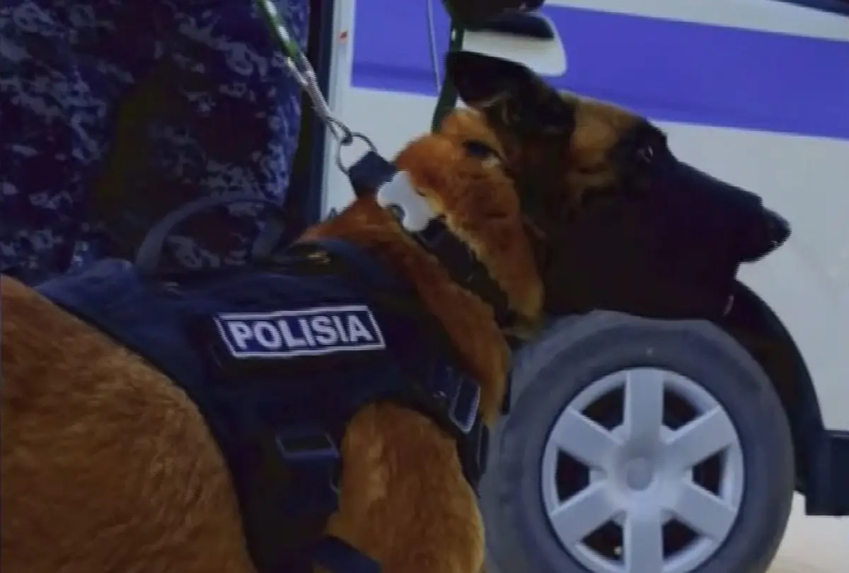из архива Аlmaty.tv