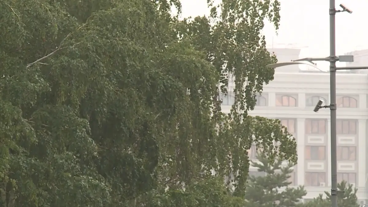 Almaty.tv