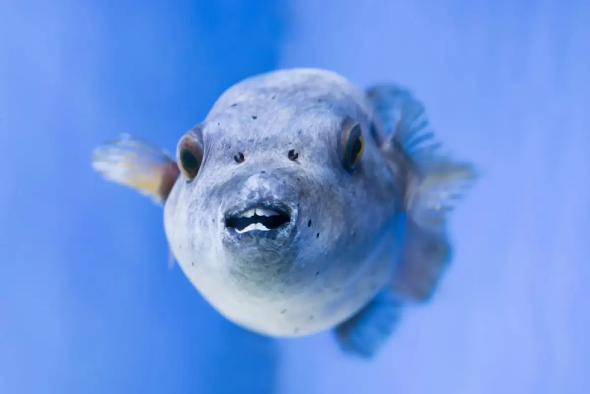 Depositphotos.com