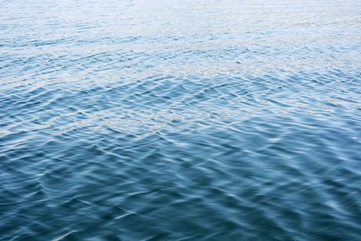 Depositphotos.com
