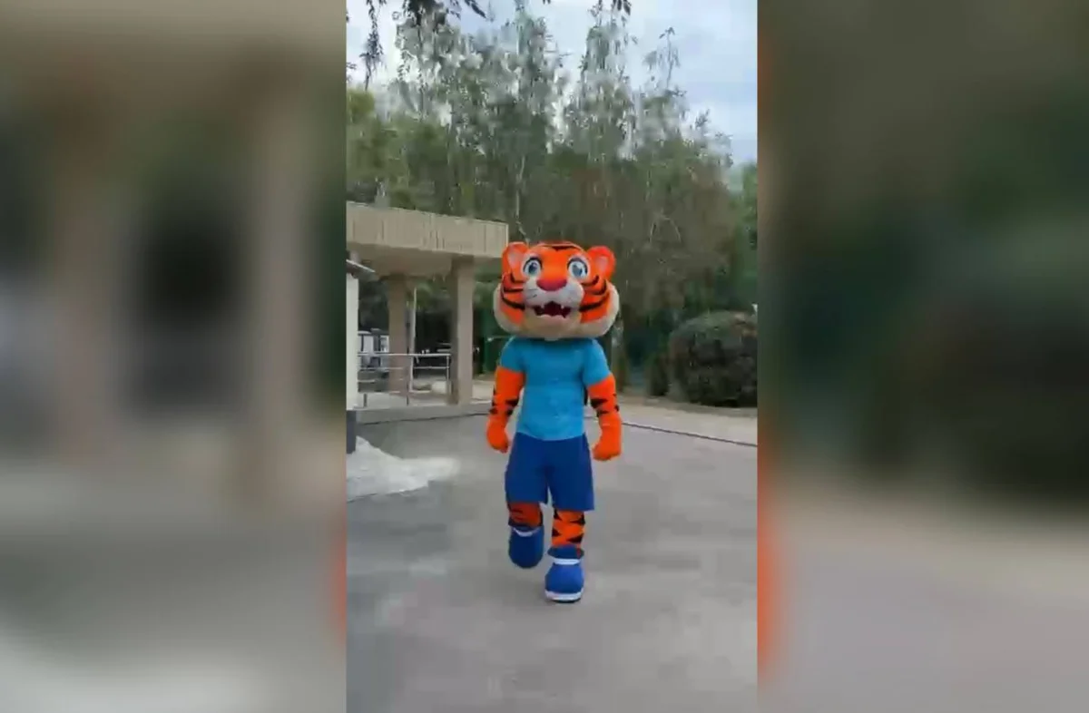 Кадр из видео