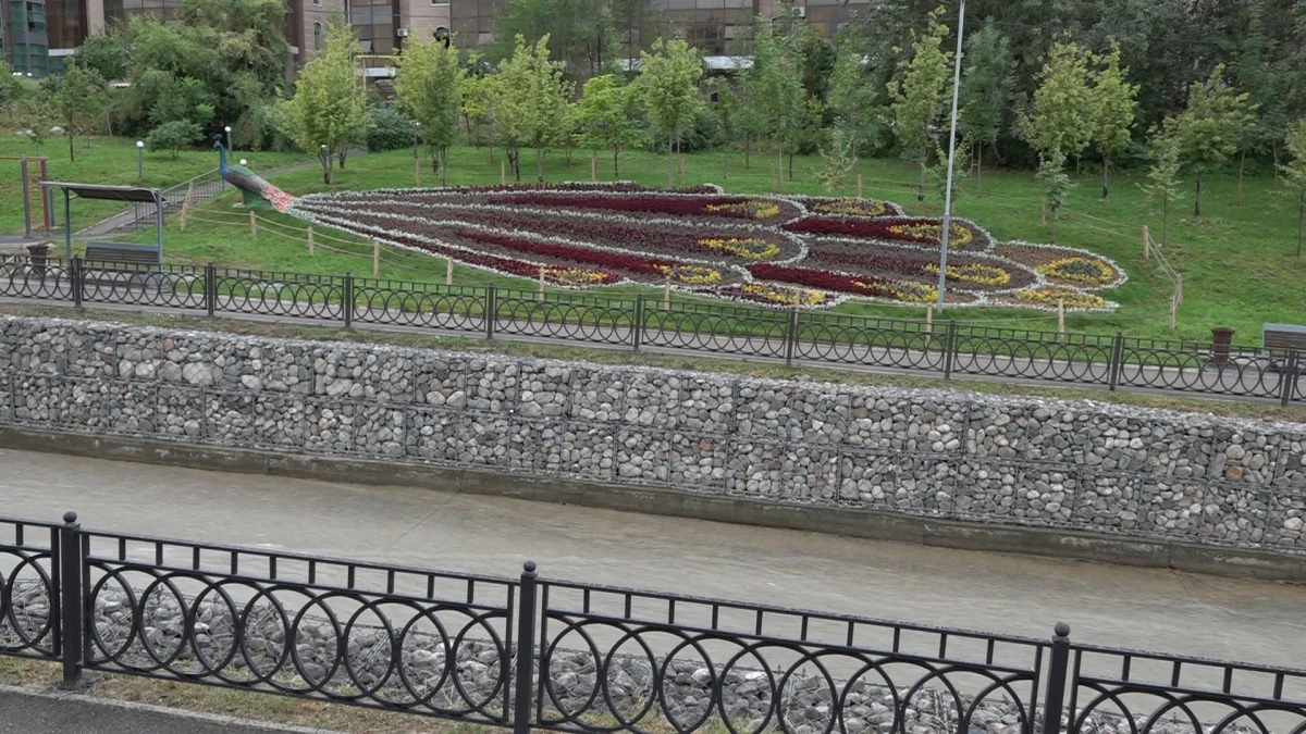 Almaty.tv
