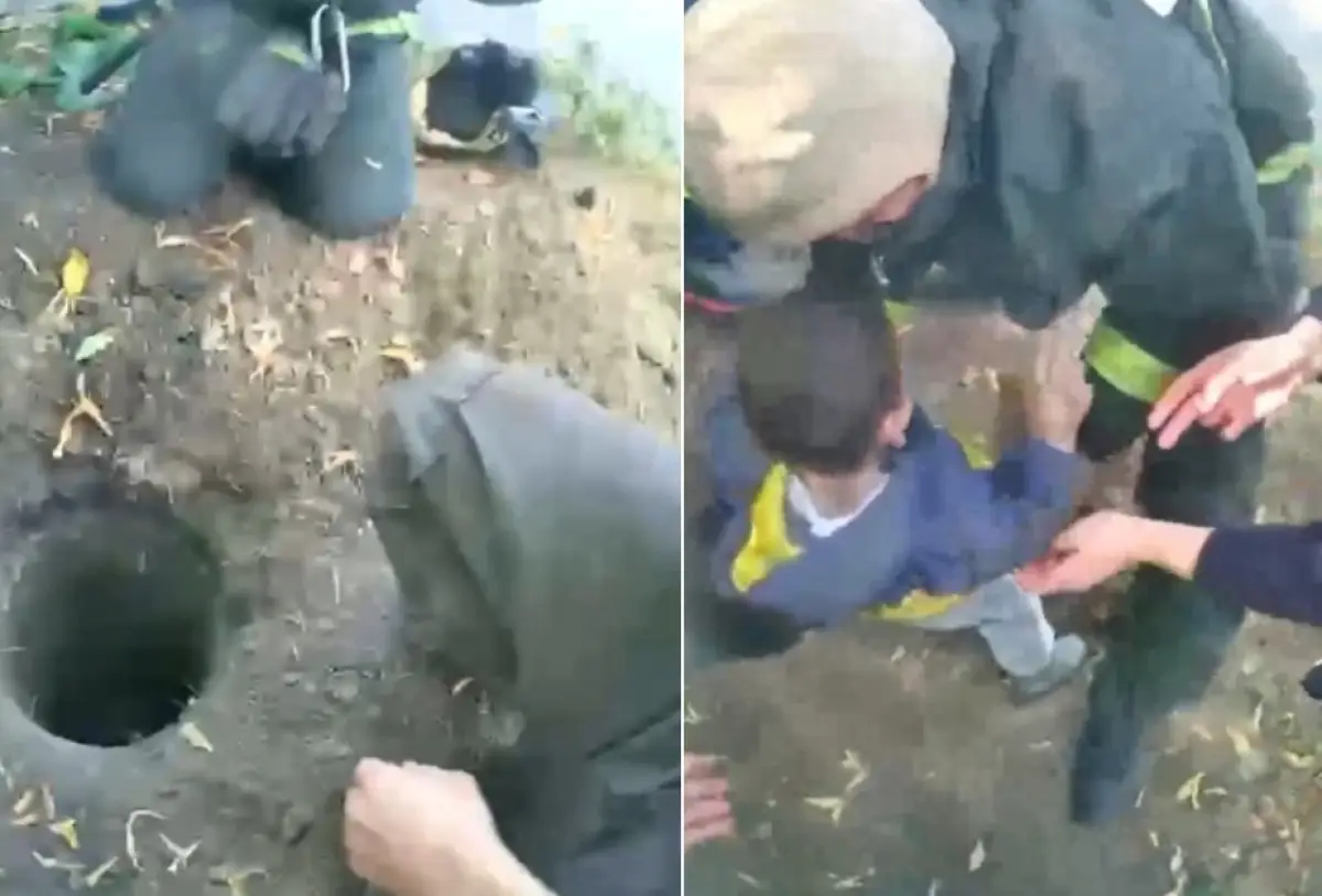 Видеодан кадр