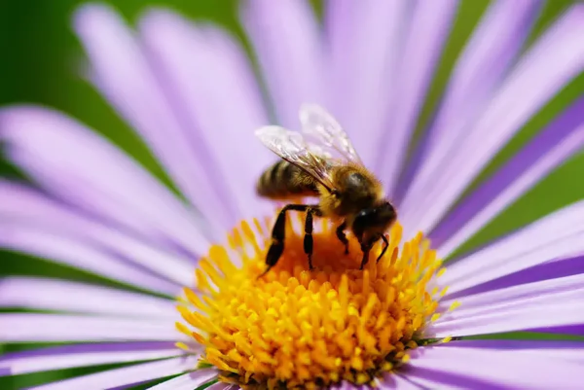 depositphotos.com
