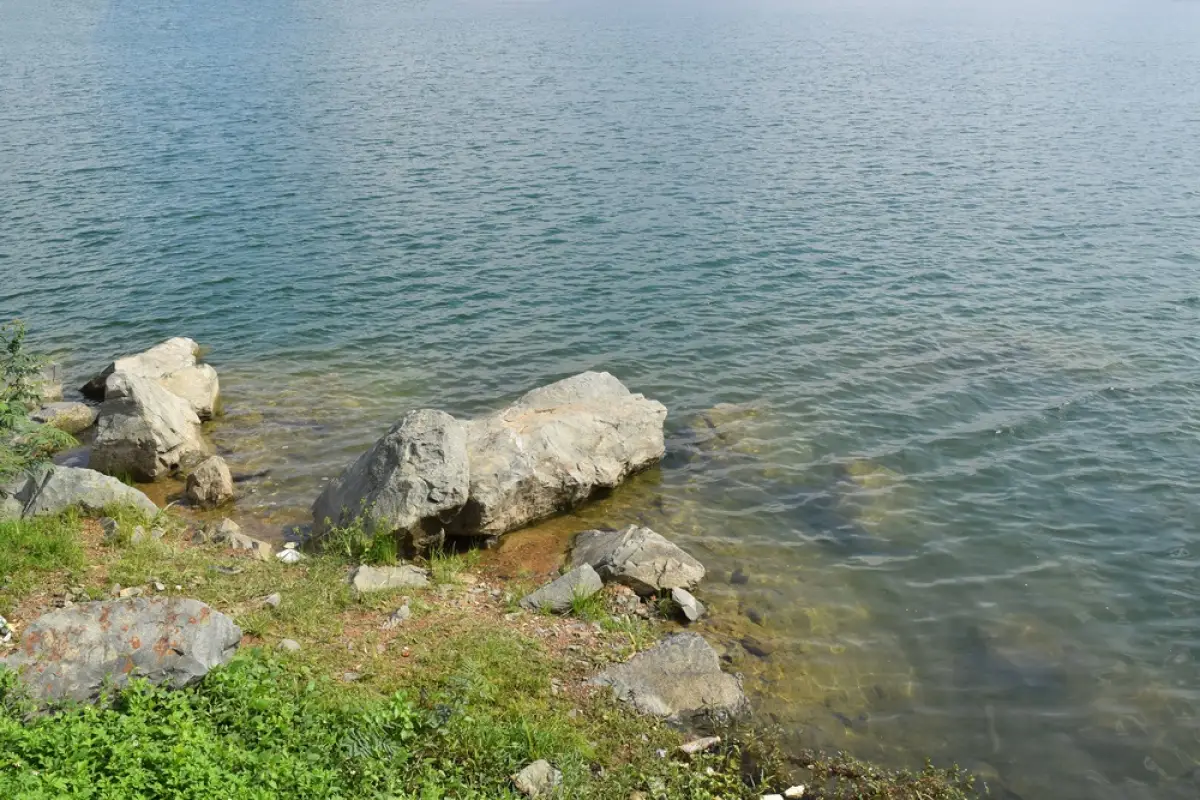 Depositphotos.com
