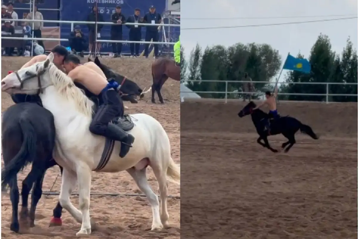 Видеодан кадр