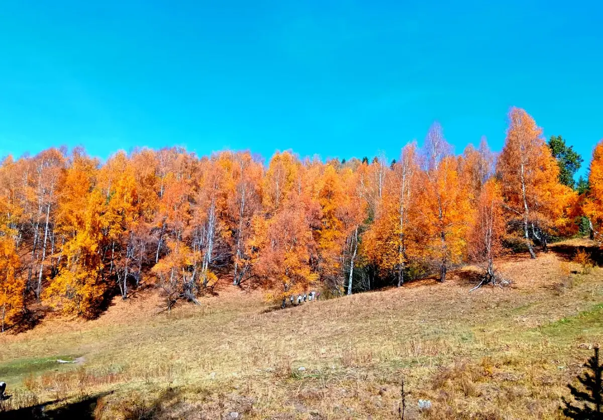 фото Victor Glutsenko