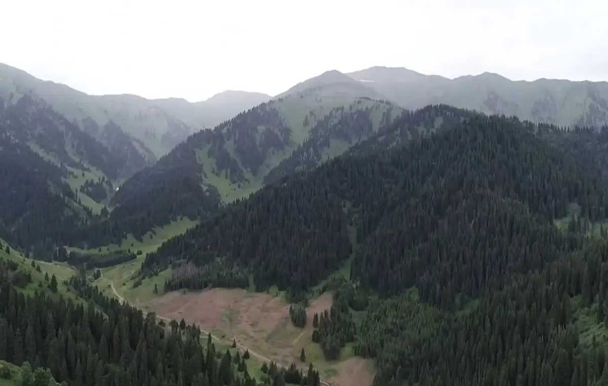 Almaty.tv