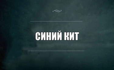 Алматинские дети вовлечены в смертельные игры в Интернете