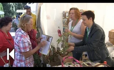 Алматының Орталық мәдениет және демалыс саябағында халықаралық бақ шоуы басталды