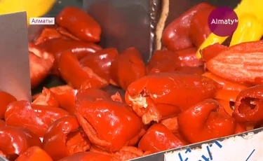 Атыраулық жиһанкез Қазақстанды велосипедпен шарлап жүр