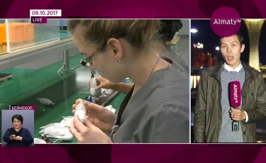 Үкімет сағатында Еңбек кодексінің жаңа үлгісі талқыланды