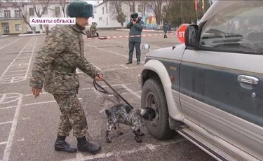 Отандық кинологтар шетелдік әріптестерімен тәжірибе алмасты