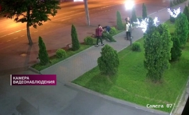 Вандализм: в Алматы хулиганы ломали деревья