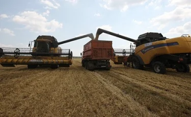 Ауыл шаруашылығы министрлігі бірыңғай аграрлық салық енгізбек